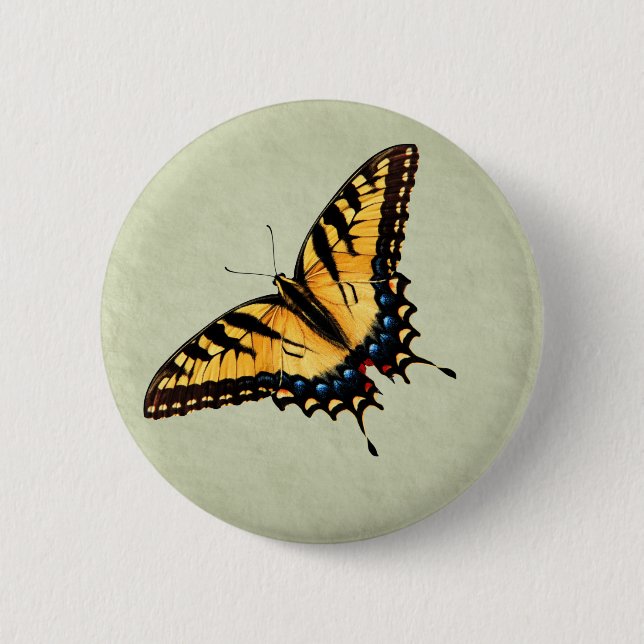 Tiger Swallowtail Butterfly Button (Front)