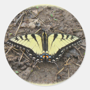 Tiger Swallowtail Butterfly Classic Round Sticker