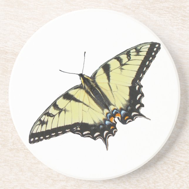 Tiger Swallowtail Butterfly Coaster (Front)