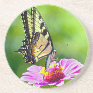 Tiger Swallowtail Butterfly Coaster