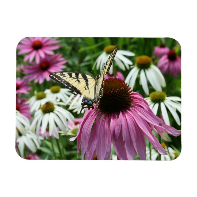 Tiger Swallowtail Butterfly Flower Flexible Magnet (Horizontal)