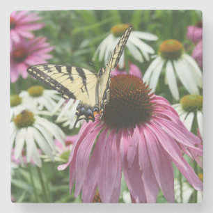 Tiger Swallowtail Butterfly Fower Stone Coaster