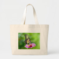 Tiger Swallowtail Butterfly
