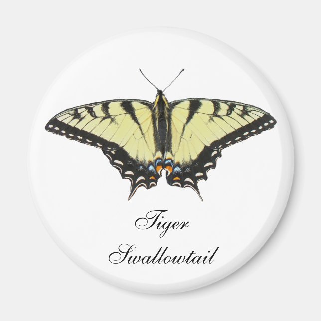 Tiger Swallowtail Butterfly Magnet (Front)