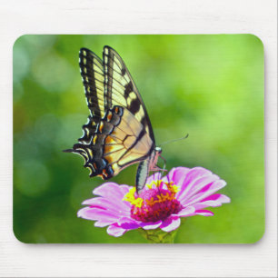Tiger Swallowtail Butterfly Mouse Pad