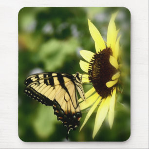 Tiger Swallowtail butterfly Mouse Pad