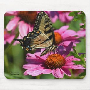 Tiger Swallowtail Butterfly Mouse Pad