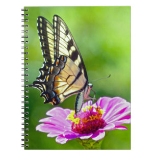 Tiger Swallowtail Butterfly Notebook