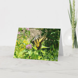 Tiger Swallowtail Butterfly - On Clover Holiday Card