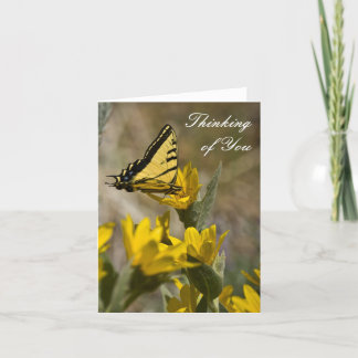 Tiger Swallowtail butterfly on mule's ear Card