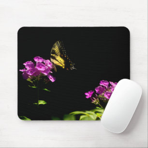 Tiger Swallowtail Butterfly On Phlox in Summer Mouse Pad