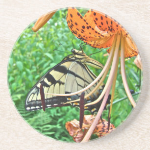 Tiger Swallowtail Butterfly on Turk's Cap Lily Coaster