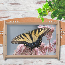 Tiger Swallowtail Butterfly on Wildflower