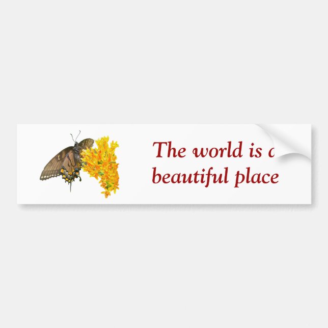 Tiger Swallowtail Butterfly (Papilio glaucas) Item Bumper Sticker (Front)