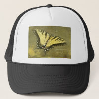 Tiger Swallowtail Butterfly - Papilio glaucus
