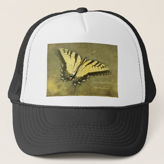 Tiger Swallowtail Butterfly - Papilio glaucus Trucker Hat (Front)