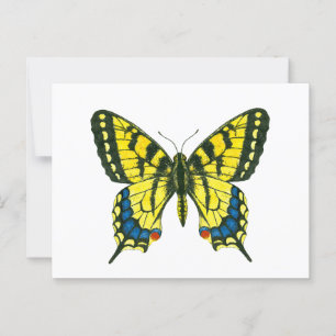 Tiger swallowtail butterfly postcard