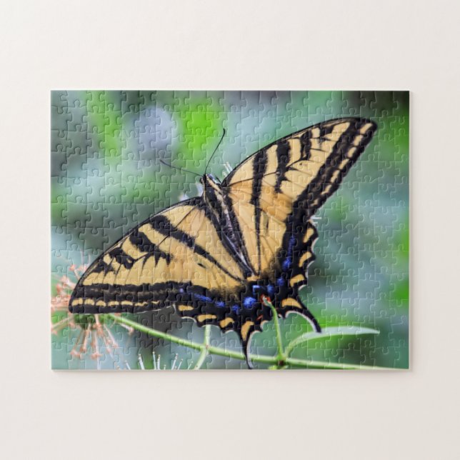 Tiger Swallowtail Butterfly Puzzle (Horizontal)