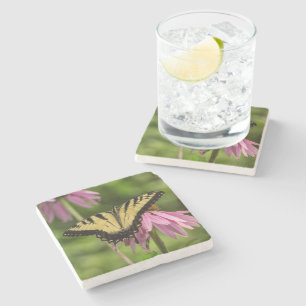 Tiger Swallowtail Butterfly Stone Coaster