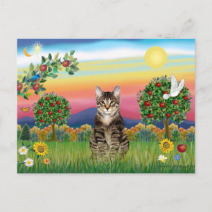 Tiger Tabby Cat 1 - Bright Country Postcard