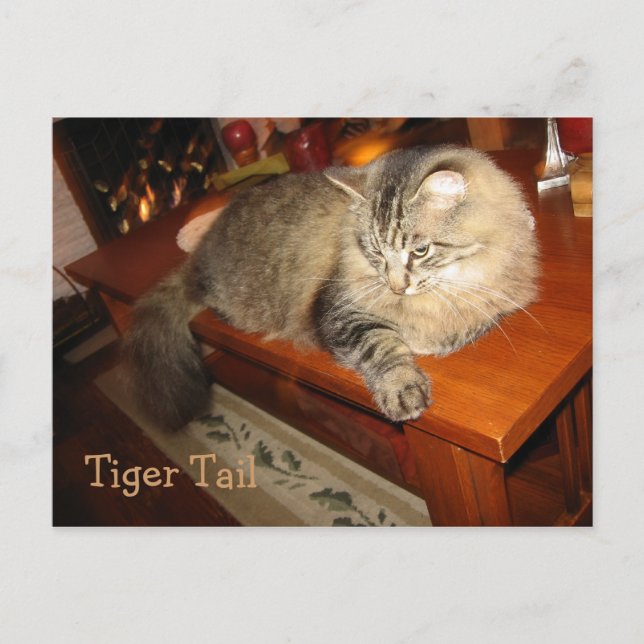 Tiger Tail Postcard (Front)