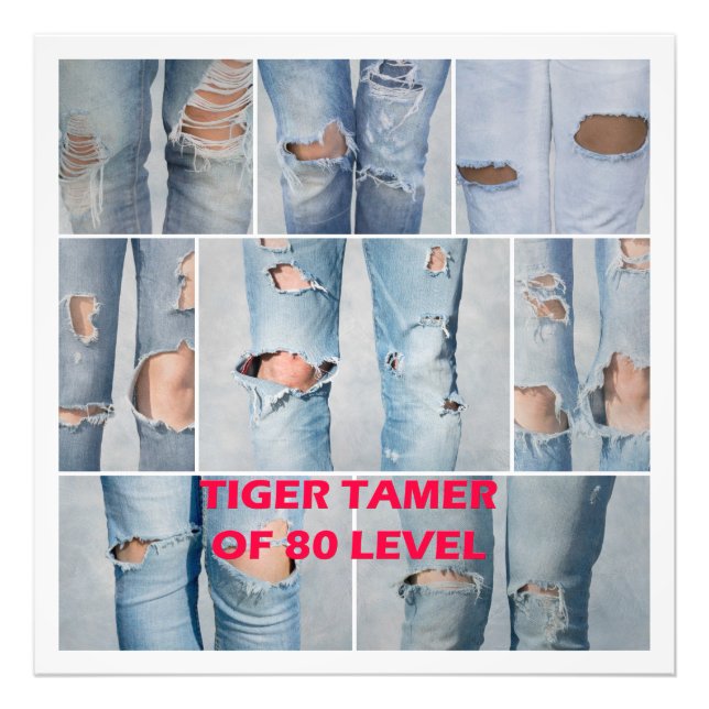 Tiger tamer of 80 level photo print (Front)