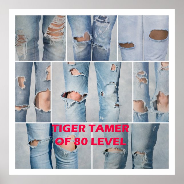 Tiger tamer of 80 level poster (Front)