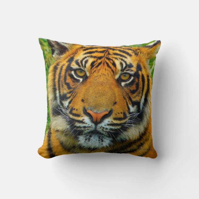 Tiger - The Last Tiger? Cushion (Front)
