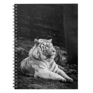 TIGER THINKING NOTEBOOK
