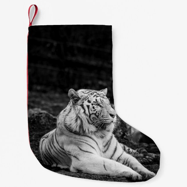 TIGER THINKING SMALL CHRISTMAS STOCKING (Front)