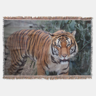Tiger throw blanket