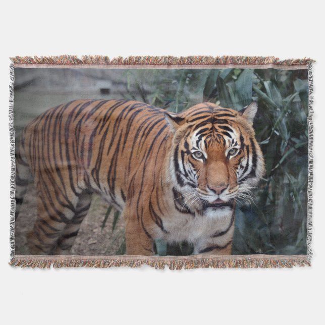 Tiger  throw blanket (Front)