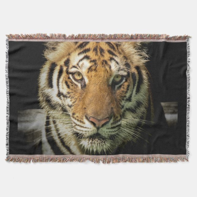 tiger throw blanket (Front)