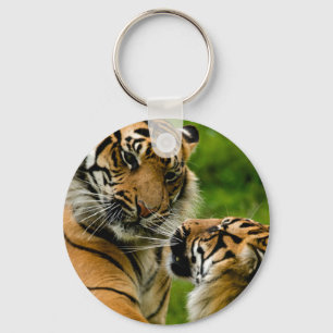 Tiger tiger key ring