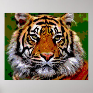 tiger Tiger Poster