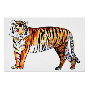 Tiger Tiger Poster