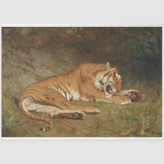 Tiger Tigers At Rest Artwork Art Decoupage Tissue Paper (Front)