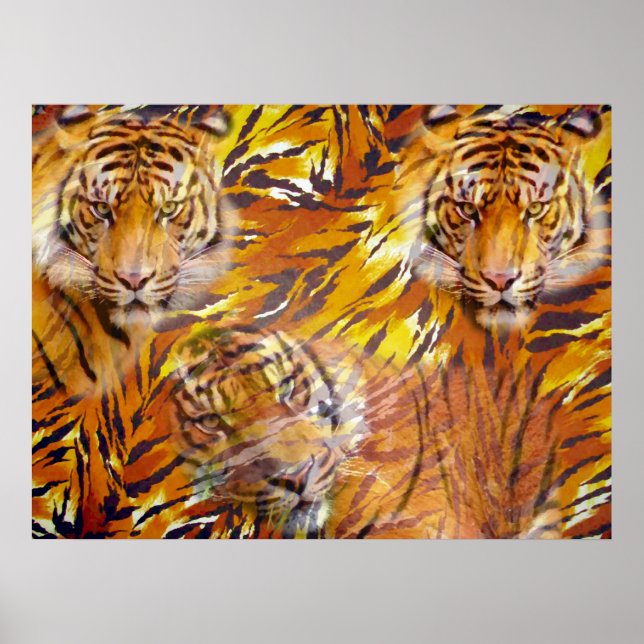 Tiger Time_ Poster (Front)