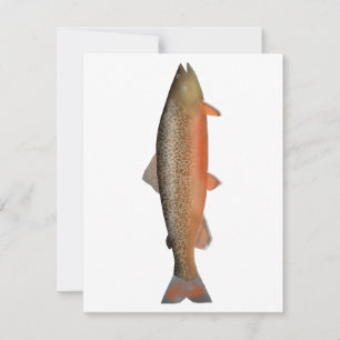 Tiger Trout Card