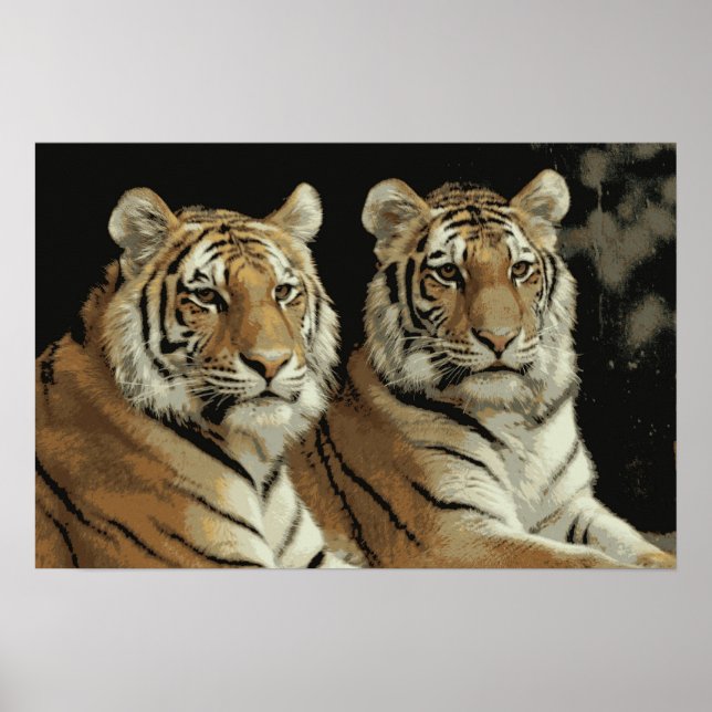 Tiger Twins Poster (Front)