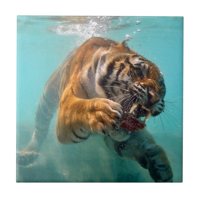 Tiger Underwater Tile (Front)
