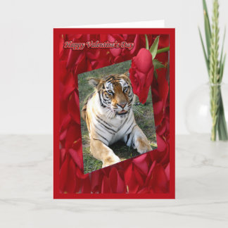 Tiger Valentine Card