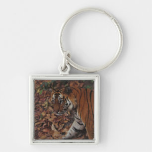 Tiger Walking on Dead Leaves Key Ring