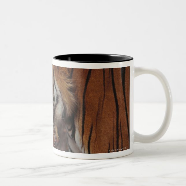 Tiger Walking on Dead Leaves Two-Tone Coffee Mug (Right)