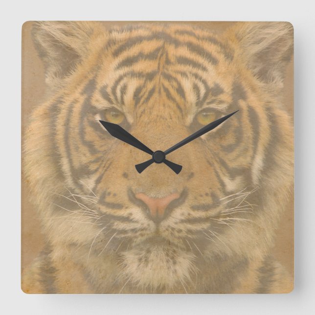 Tiger Wall Clock (Front)
