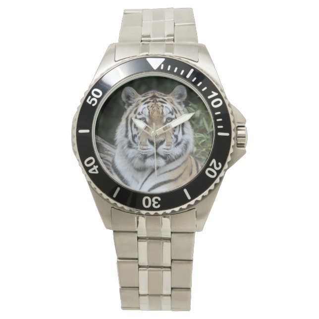 Tiger Watch (Front)