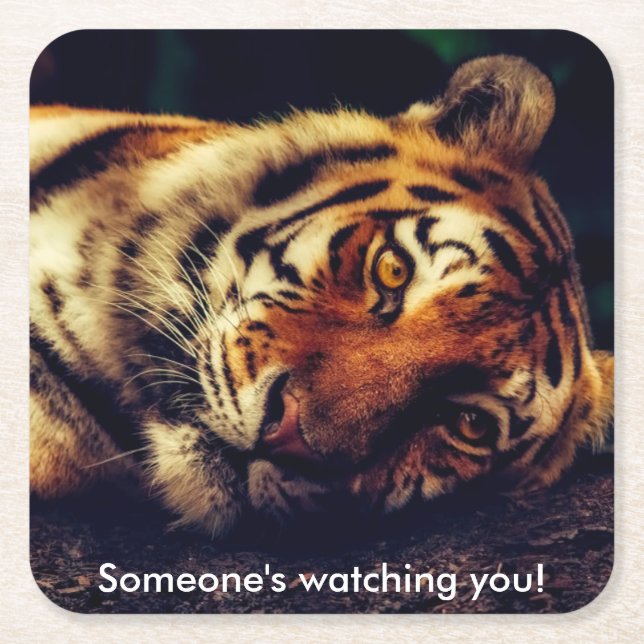 Tiger Watching You Square Paper Coaster (Front)
