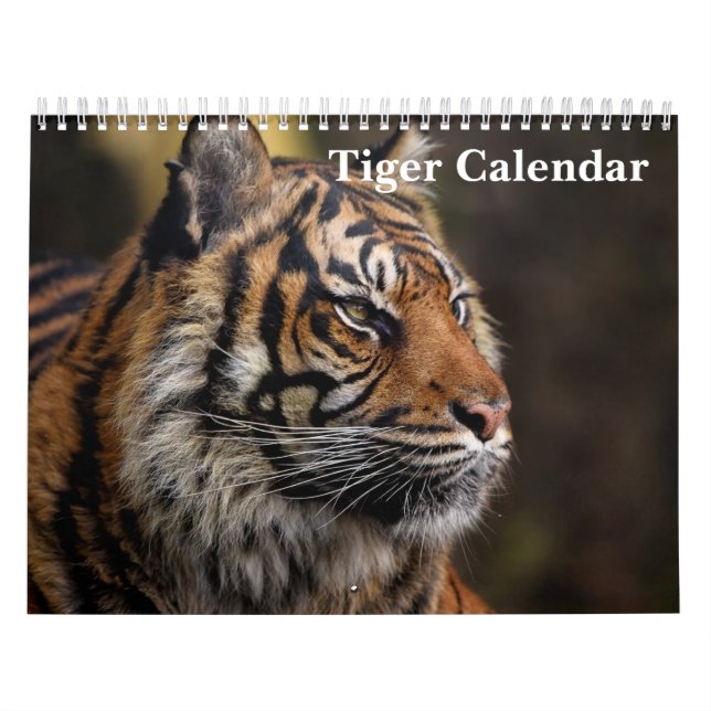 Tiger Wild Animal 2026 Calendar (Cover)