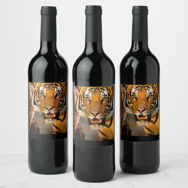 Tiger Wine Label (Bottles)