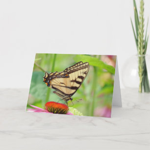 Tiger Wings on Coneflower - Butterfly Holiday Card